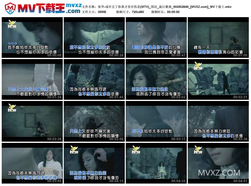 张华-或许丢了你我才没有伤悲(MTV)_国语_流行歌曲_MA502849